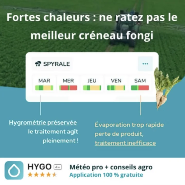 Publicité HYGO · fortes chaleurs, ne ratez pas le meilleur créneau fongi