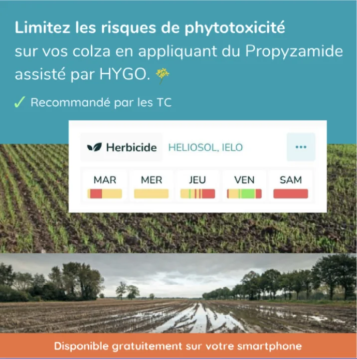 Publicité HYGO · limitez les risques de phytotoxicité sur vos colza